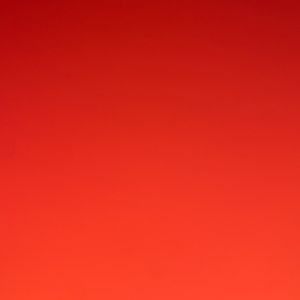 Meet your Posher, Dan